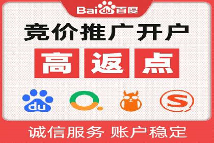 竞价SEM托管案例：精准营销的利器